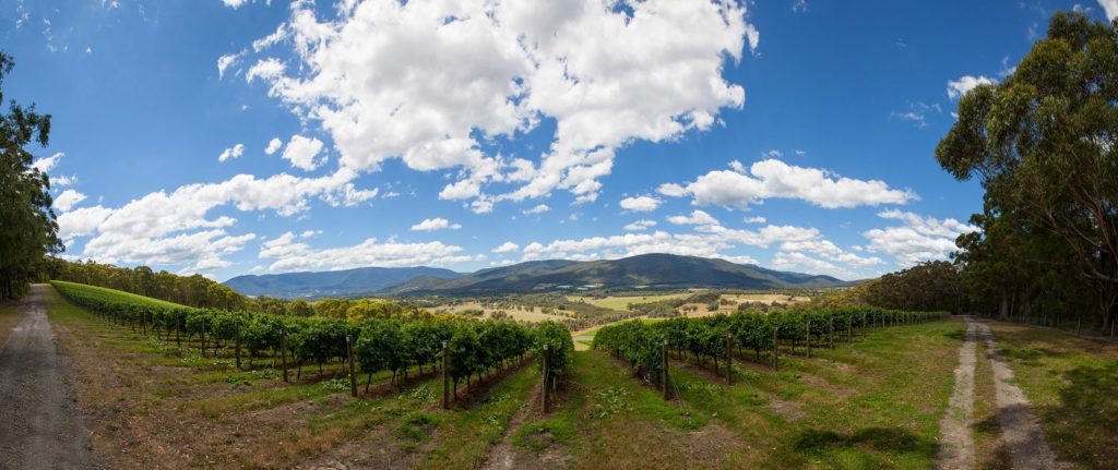 Jackson Family Wines acquires Giant Steps Winery