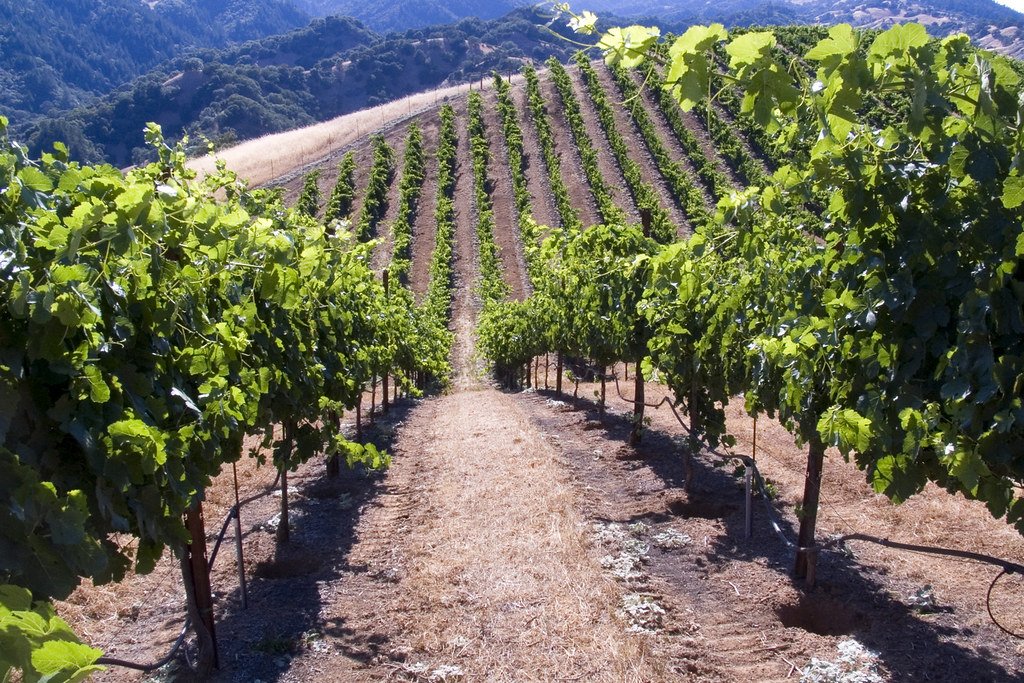 Rockpile, Sonoma County