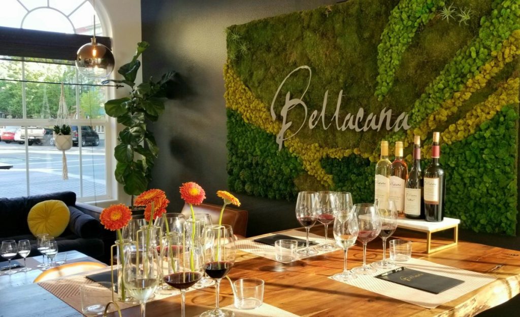 Bellacana Vineyards, Sonoma County