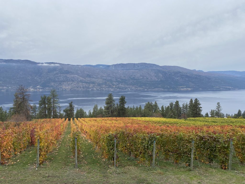 Arrowleaf Cellars