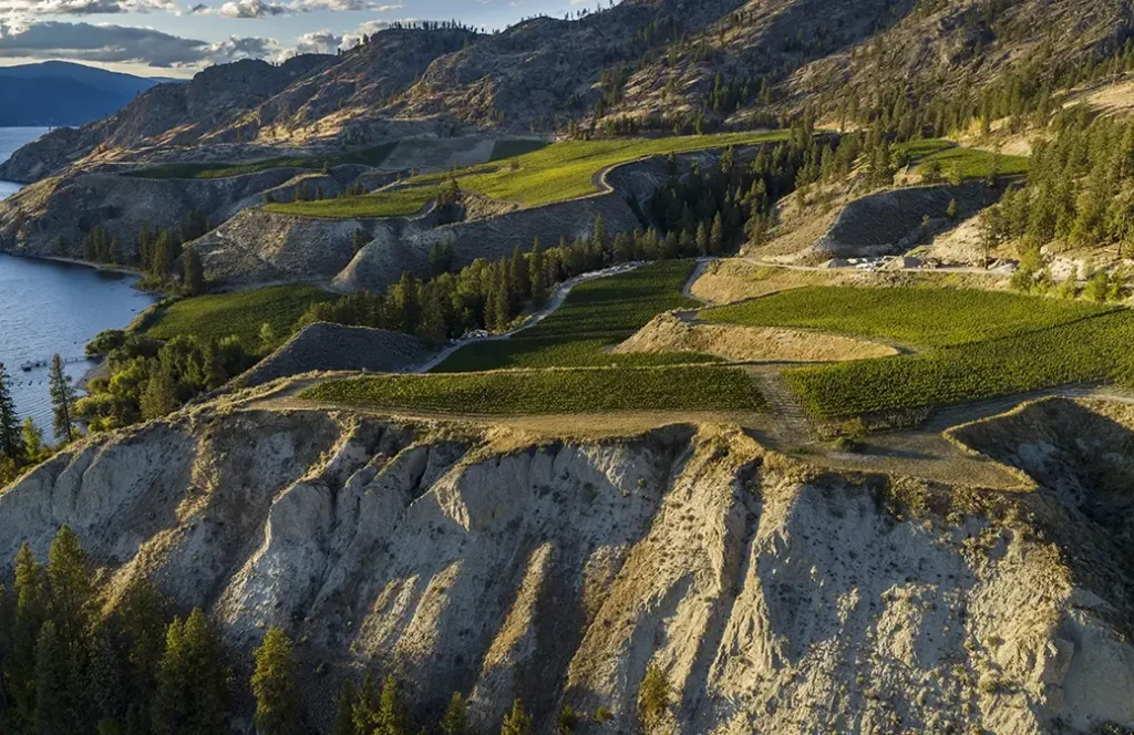 Naramata Ranch Vineyard