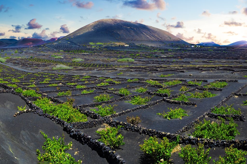Canary Islands
