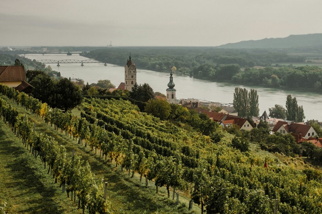 Wines of Austria
