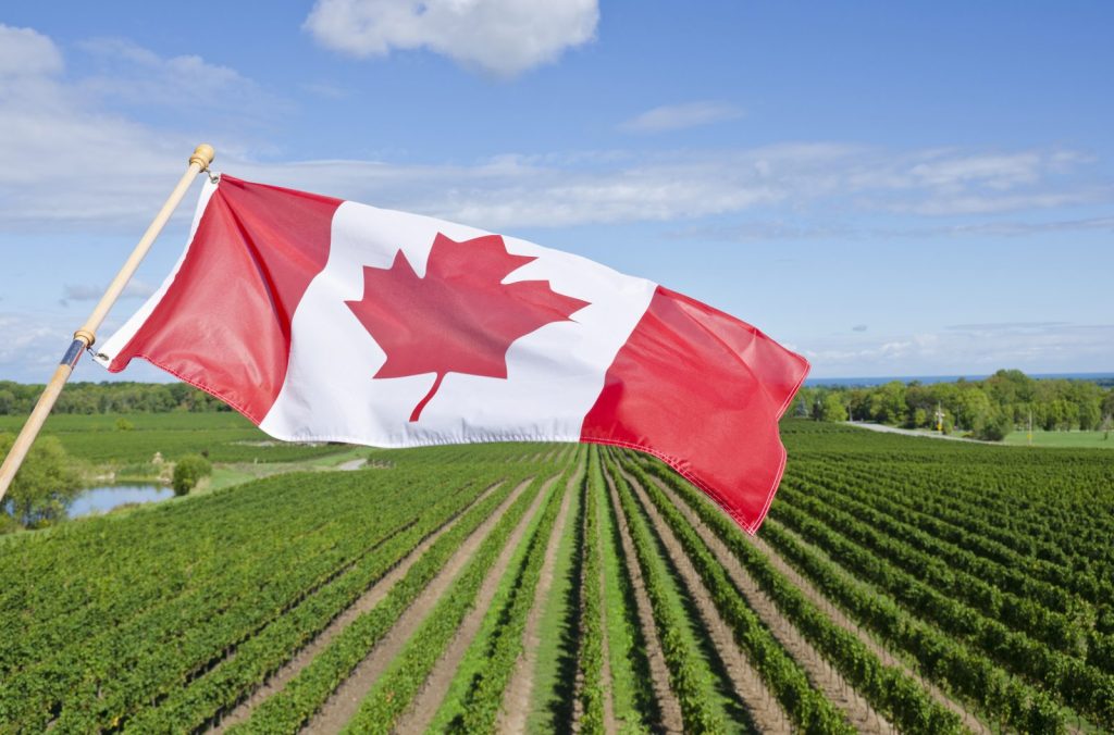 Canadian Pride