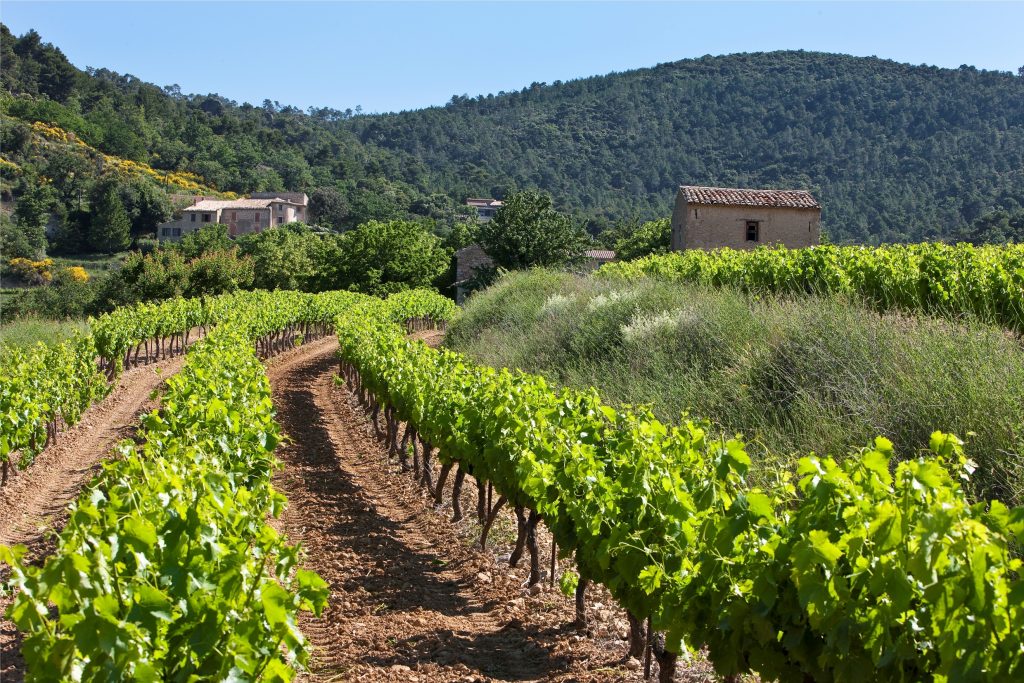 Cotes du Rhone