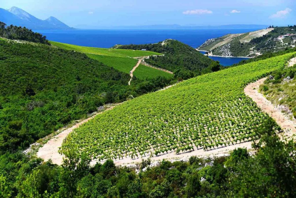 Dalmation Coast