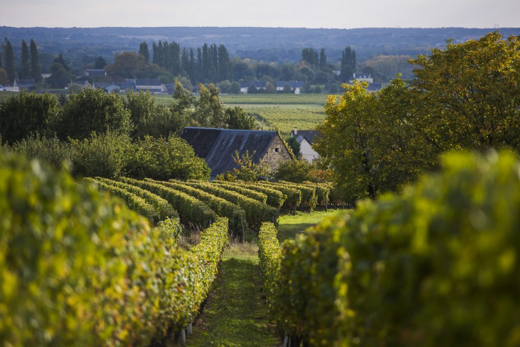 Loire Valley