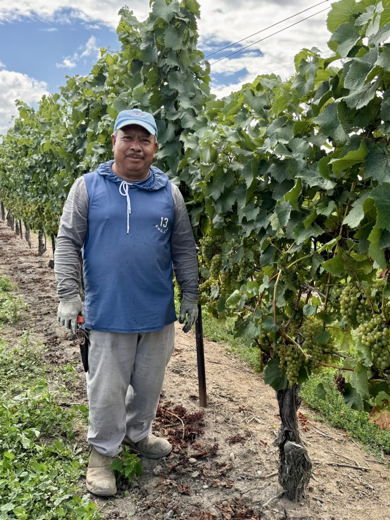Grape Growers