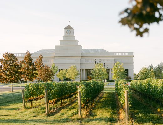 Stone Eagle Winery