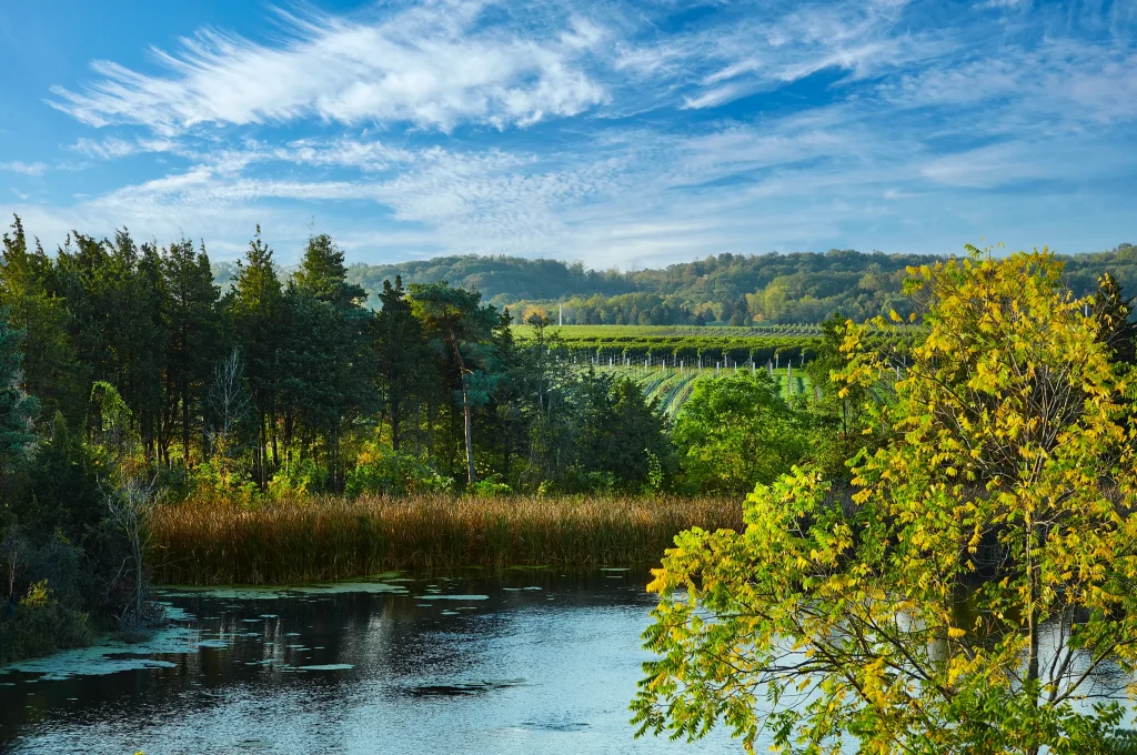 Dobbin Estate Winery
