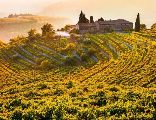 Amarone