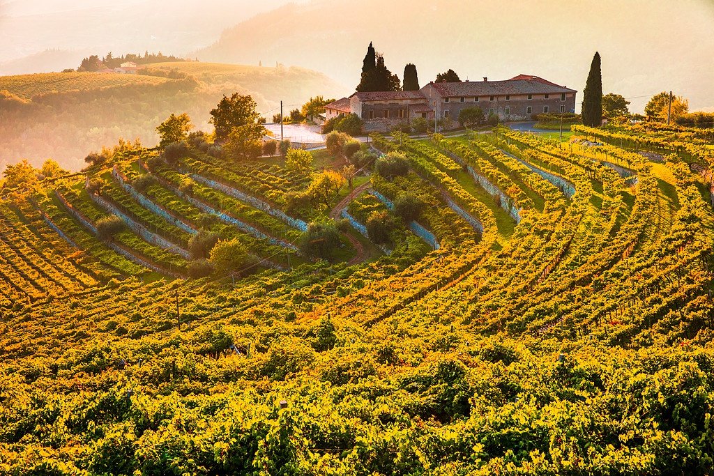 Amarone