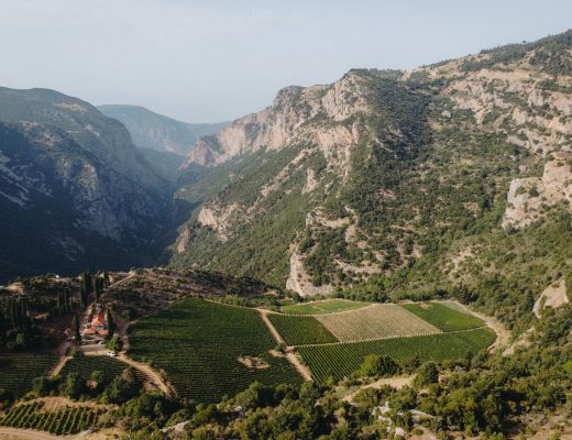 Peloponnese wine
