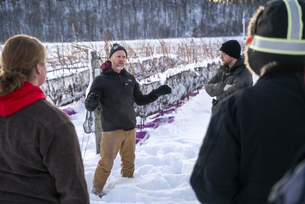 Icewine