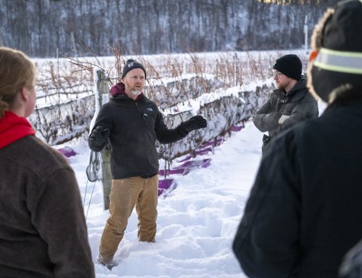 Icewine