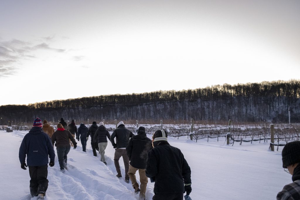Icewine