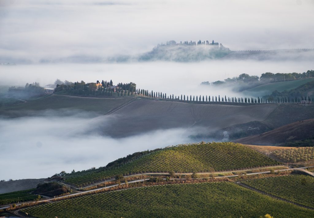 Brunello di Montalcino