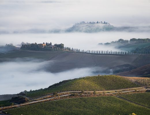 Brunello di Montalcino