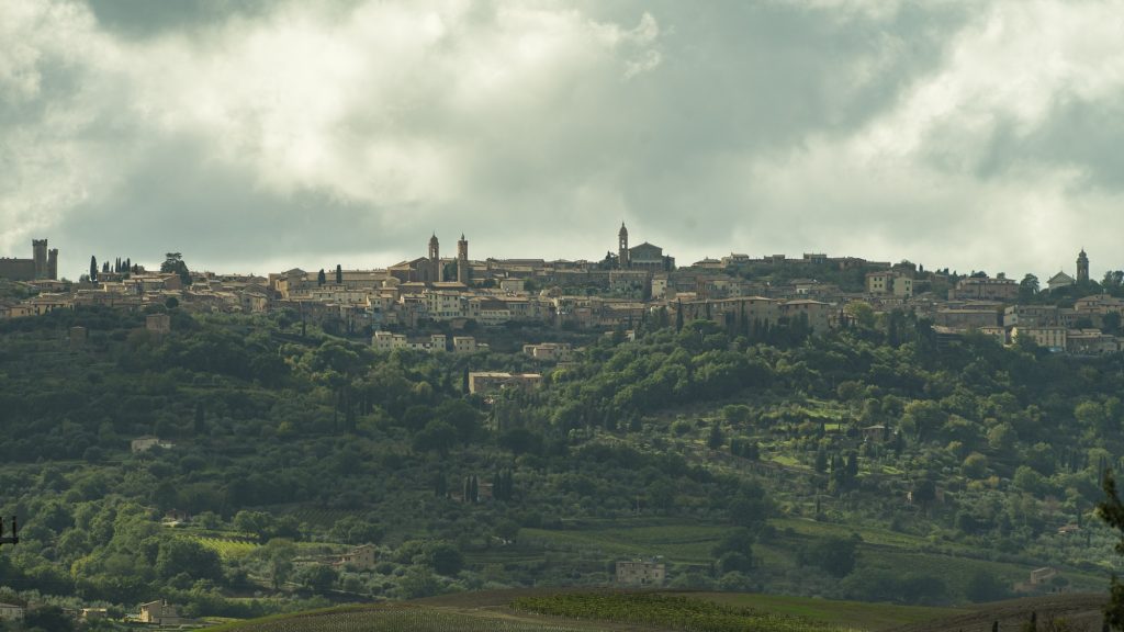 Brunello