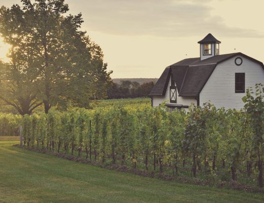 Single-Vineyard