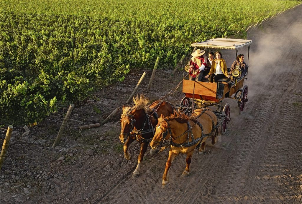 Wine & Travel: Latin America